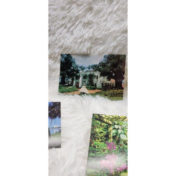 Lot of 6 Vintage Movie Star, Botanical, The Beatles Unused Postcards - Picture 2 of 11